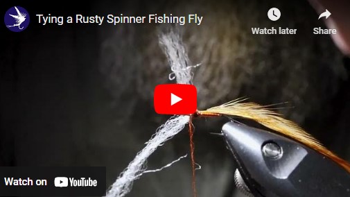 Blog: DiscountFlies Online Fly Shop